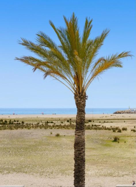 1ª Linea De Playa. Apartamento: La Calma كوماروغا المظهر الخارجي الصورة